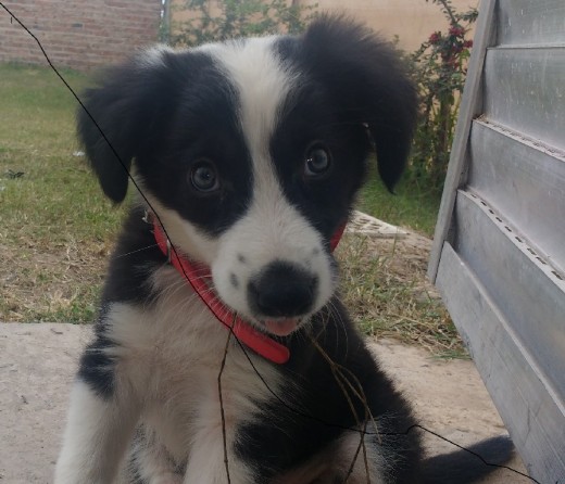 Matilda Matilda
